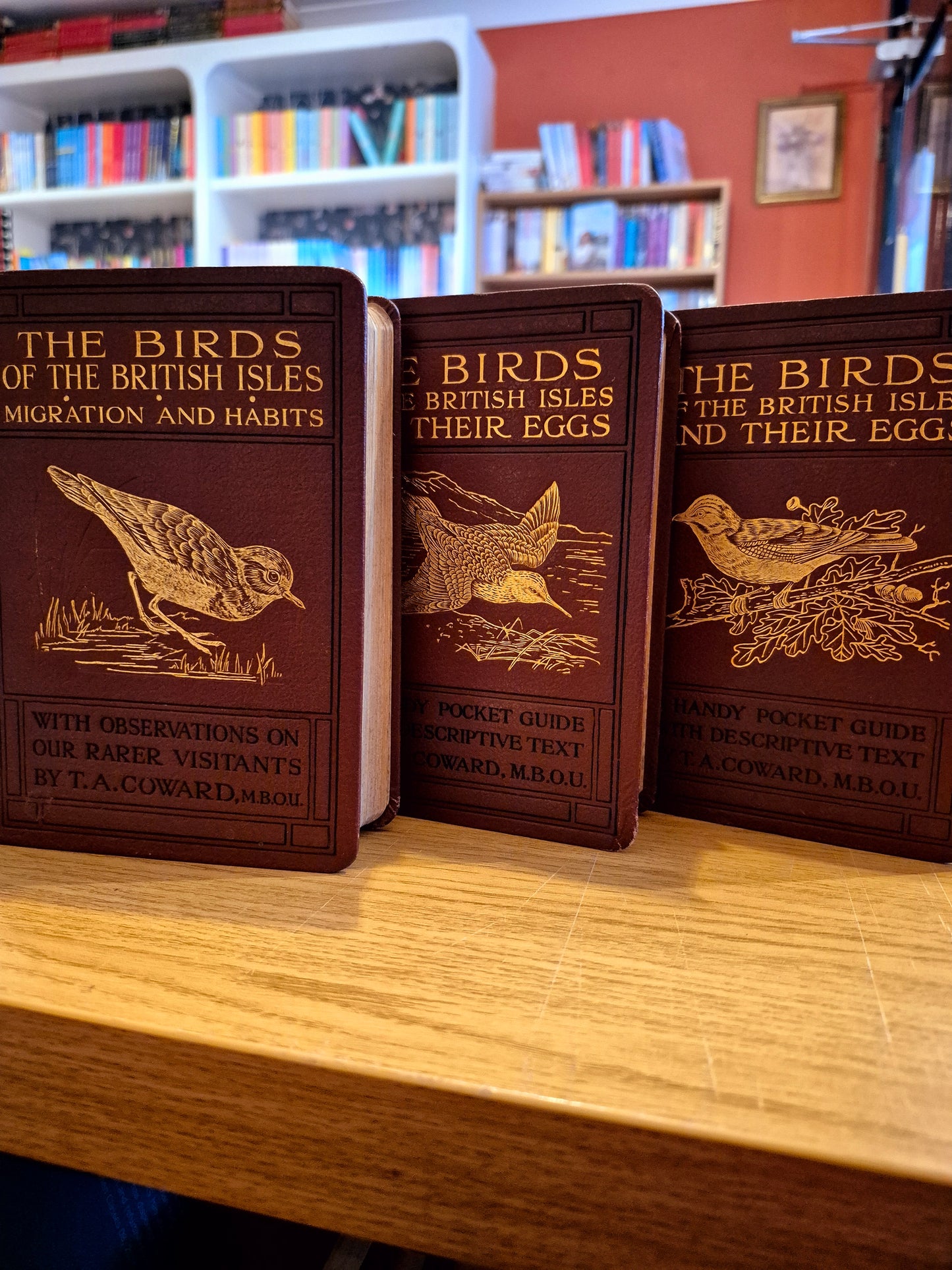 The Birds of the British Isles Collection - T.A. Coward M.B.O.U (circa. 1926 Warne Pub.)