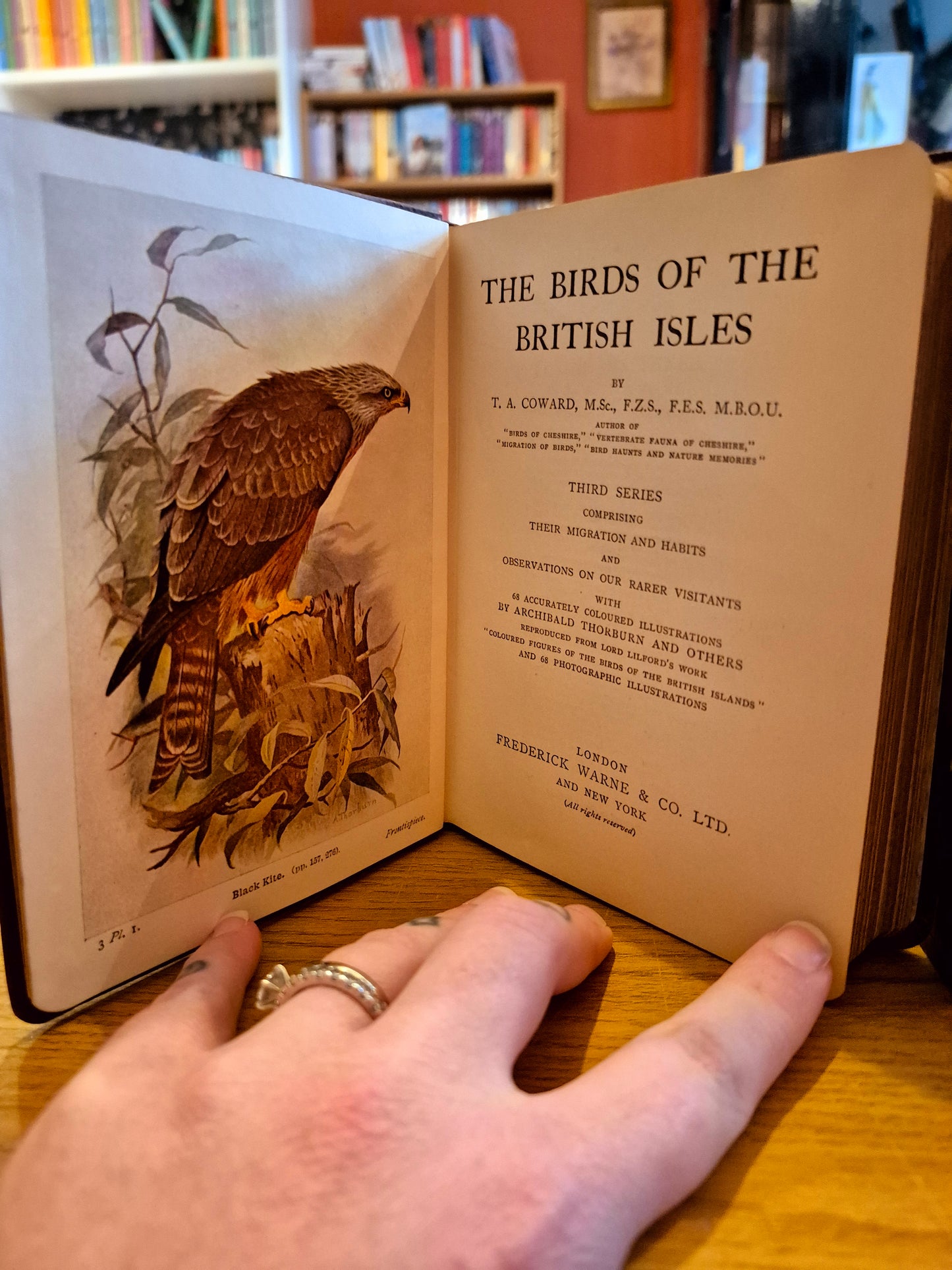 The Birds of the British Isles Collection - T.A. Coward M.B.O.U (circa. 1926 Warne Pub.)