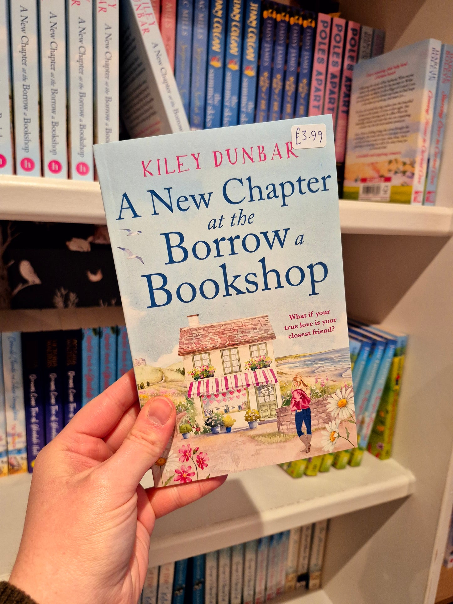 A New Chapter at the Borrow-a-Bookshop - Kiley Dunbar