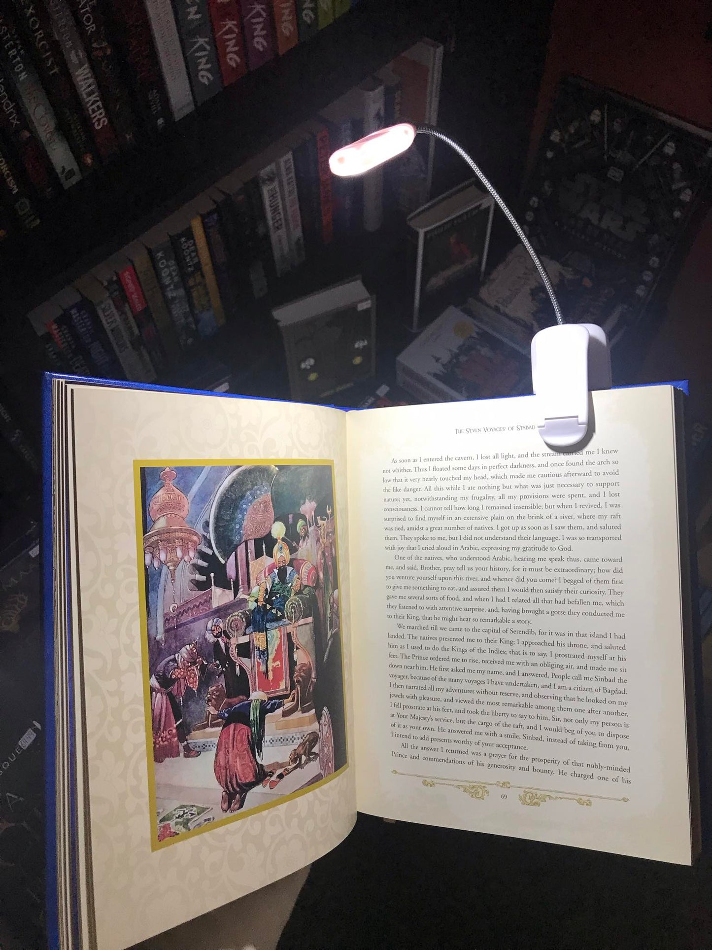 Book Light