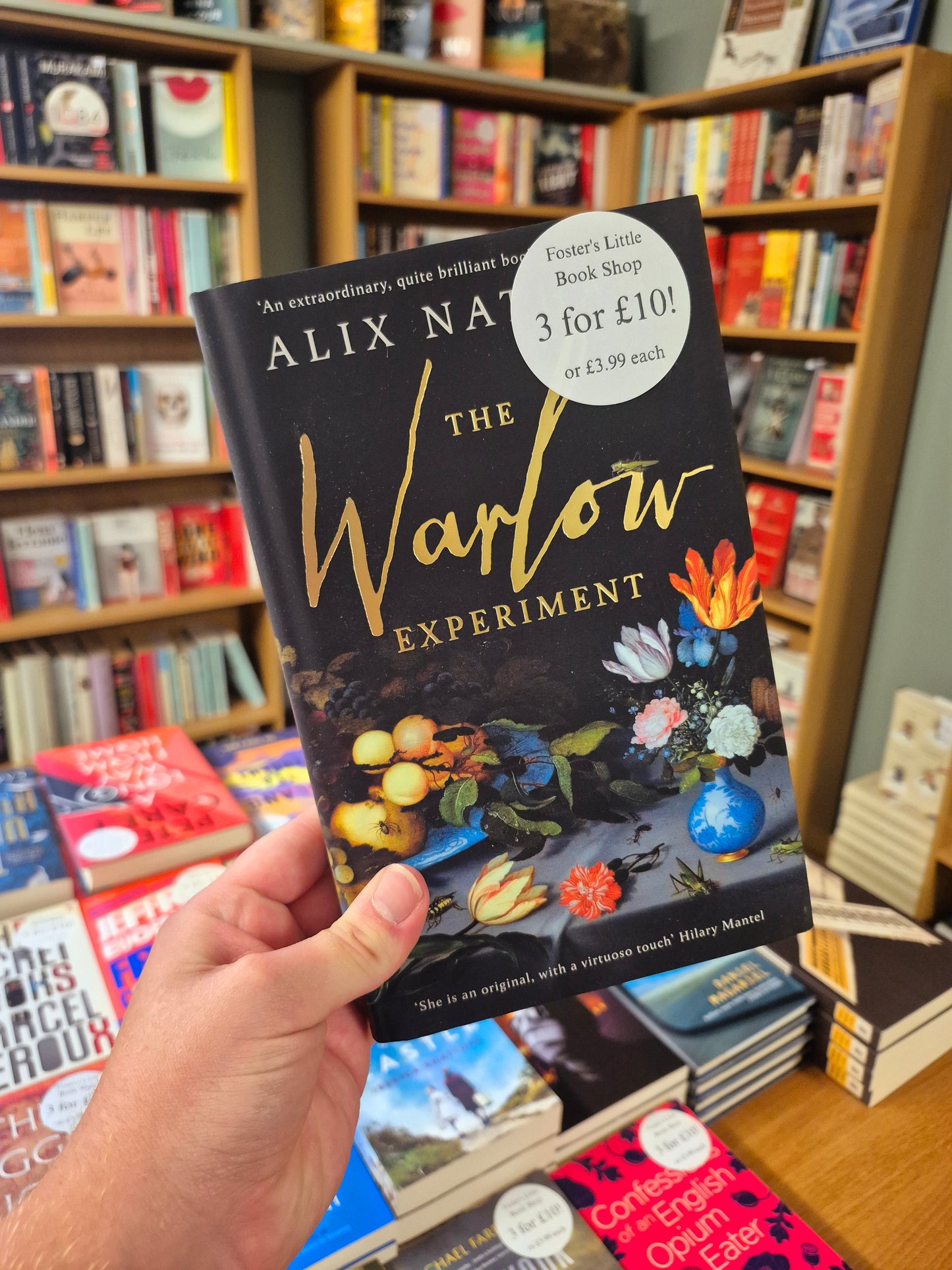 The Warlow Experiment - Alix Nathan