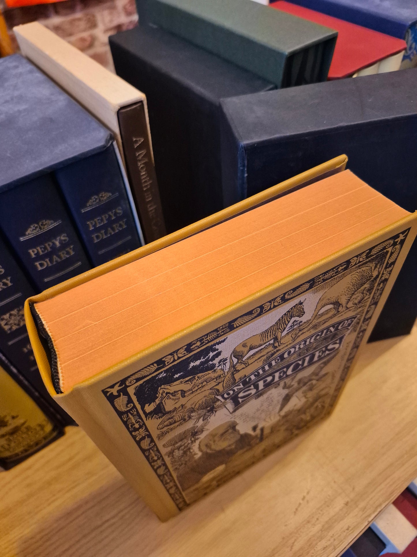 On the Origin of Species - Charles Darwin (Folio Society 2006)