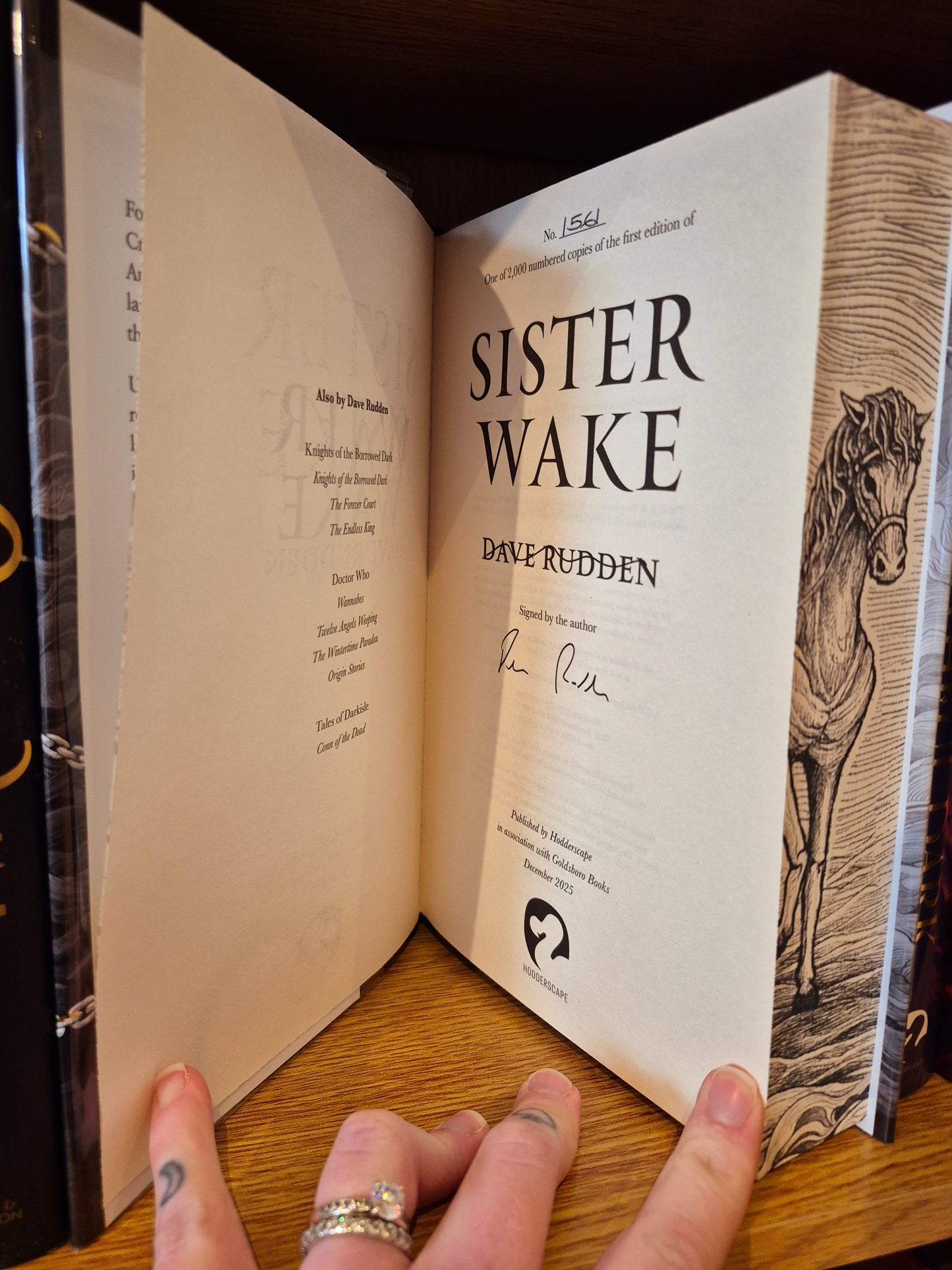 Sister Wake - Dave Rudden (Signed & Numbered First Edition)
