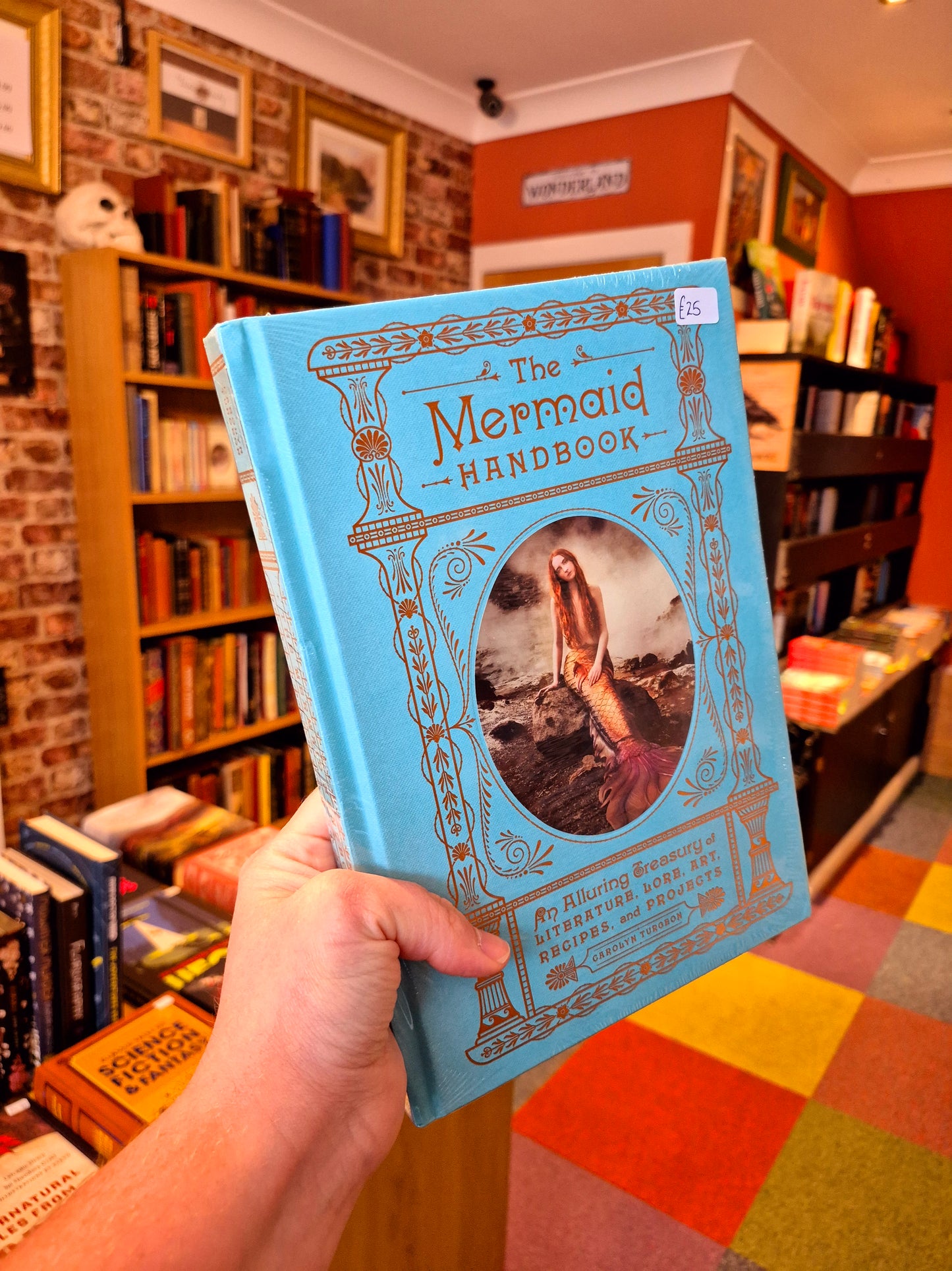 The Mermaid Handbook - Carolyn Turgeon
