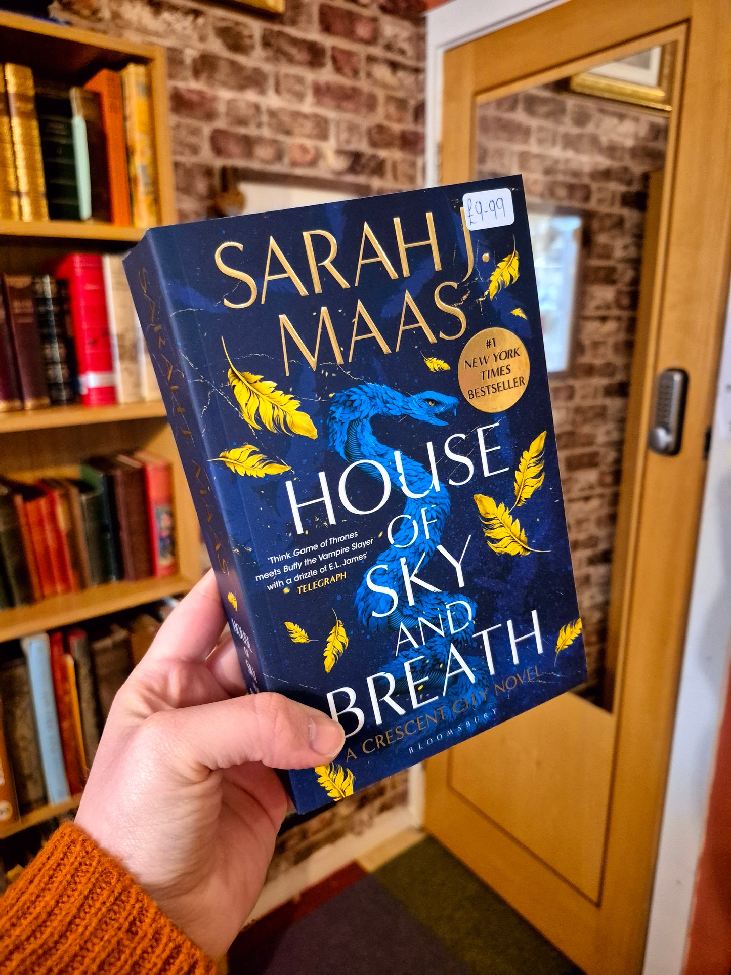 House of Sky and Breath - Sarah J Maas