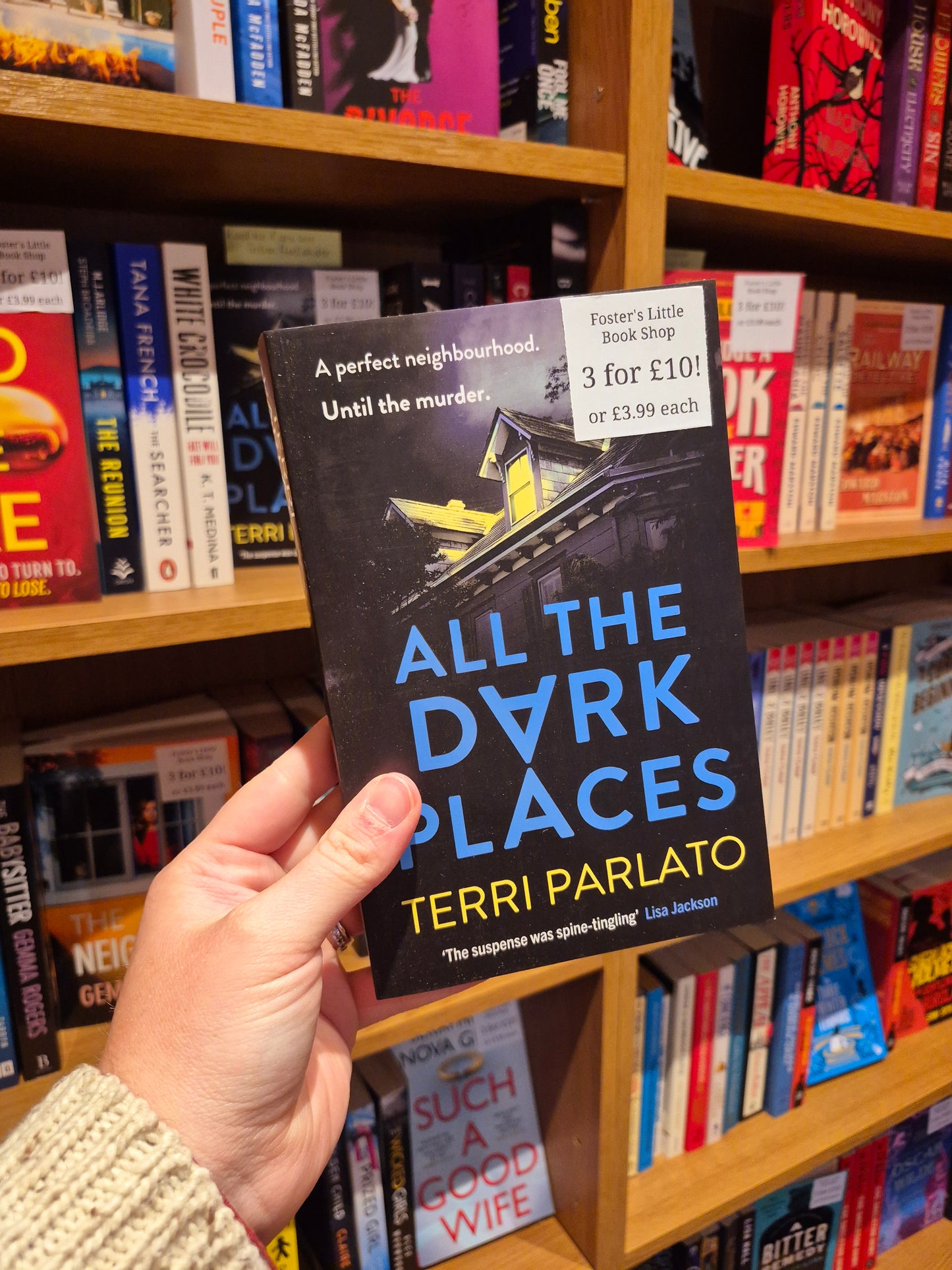 All The Dark Places - Terri Parlato Perfect for Fans of Lisa Jewell