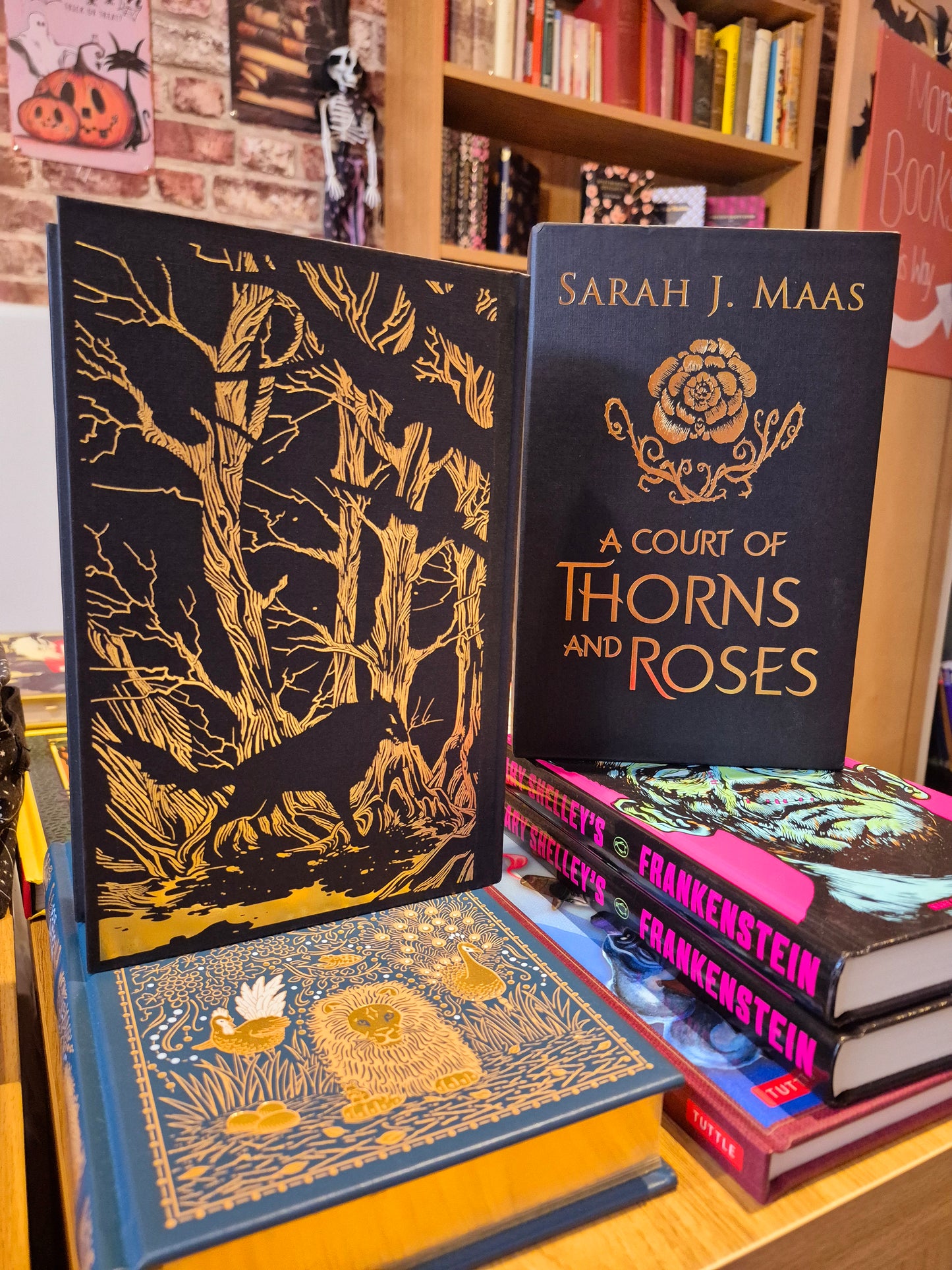 A Court of Thorns and Roses - Sarah J Maas (Collector's Edition)