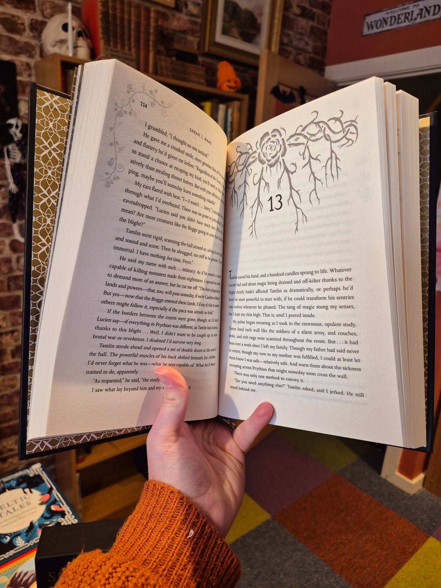 A Court of Thorns and Roses - Sarah J Maas (Collector's Edition)