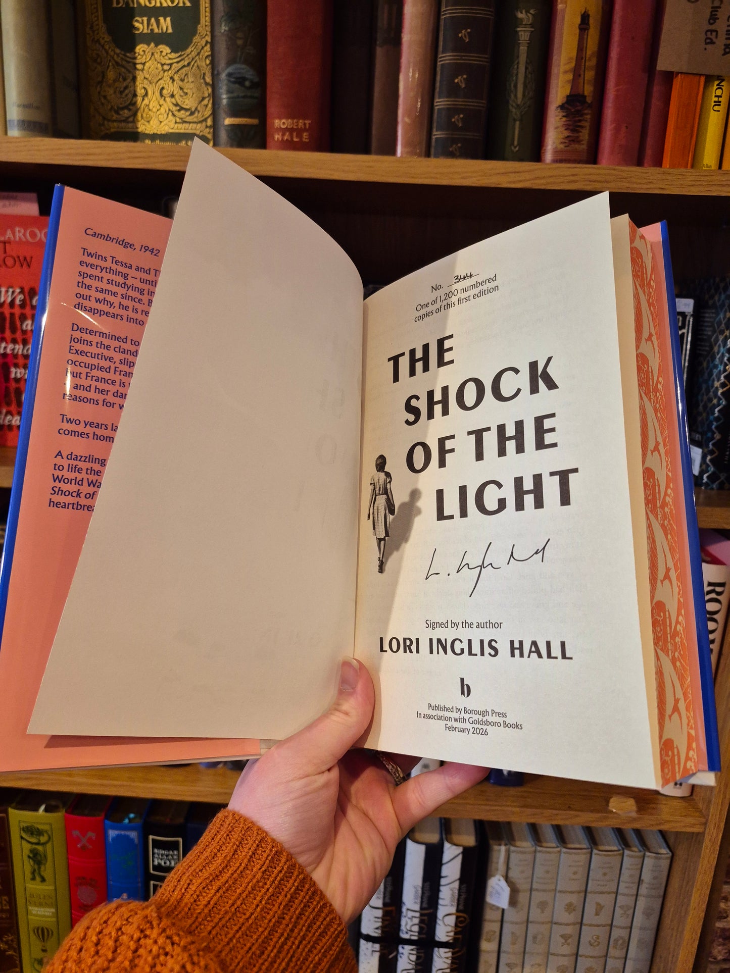 The Shock of the Light - Lori Inglis Hall (Signed & Numbered First Edition)