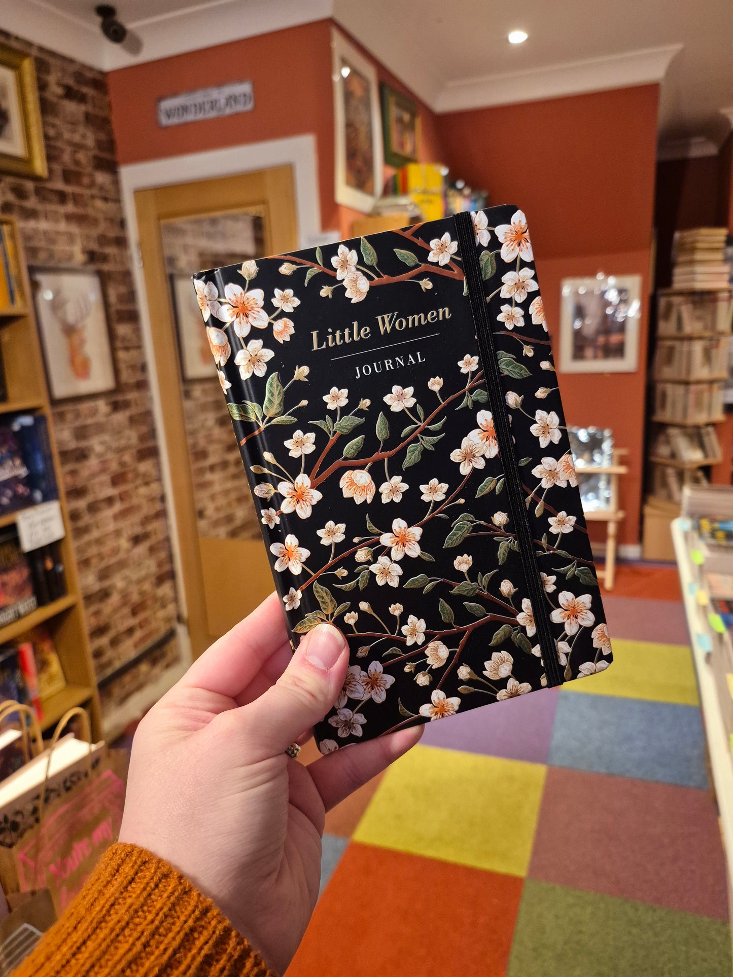 Little Women Chiltern Journal