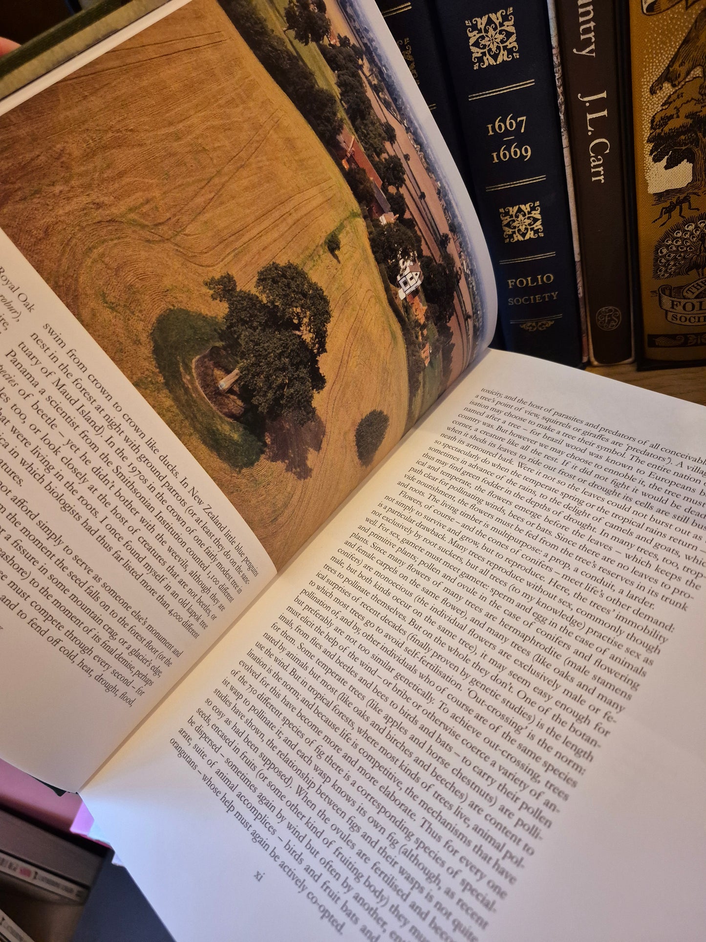 The Secret Life of Trees (Folio Society 2008)