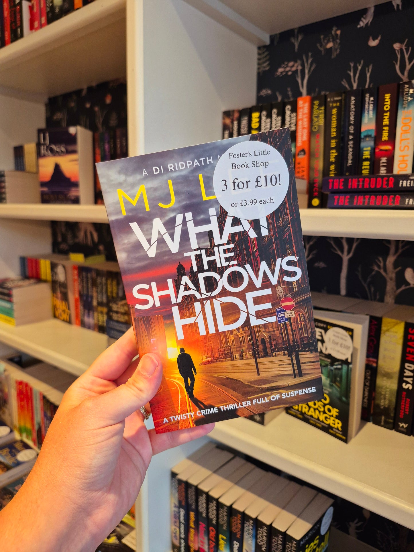 What the Shadows Hide - MJ Lee (DI Ridpath Book 9)