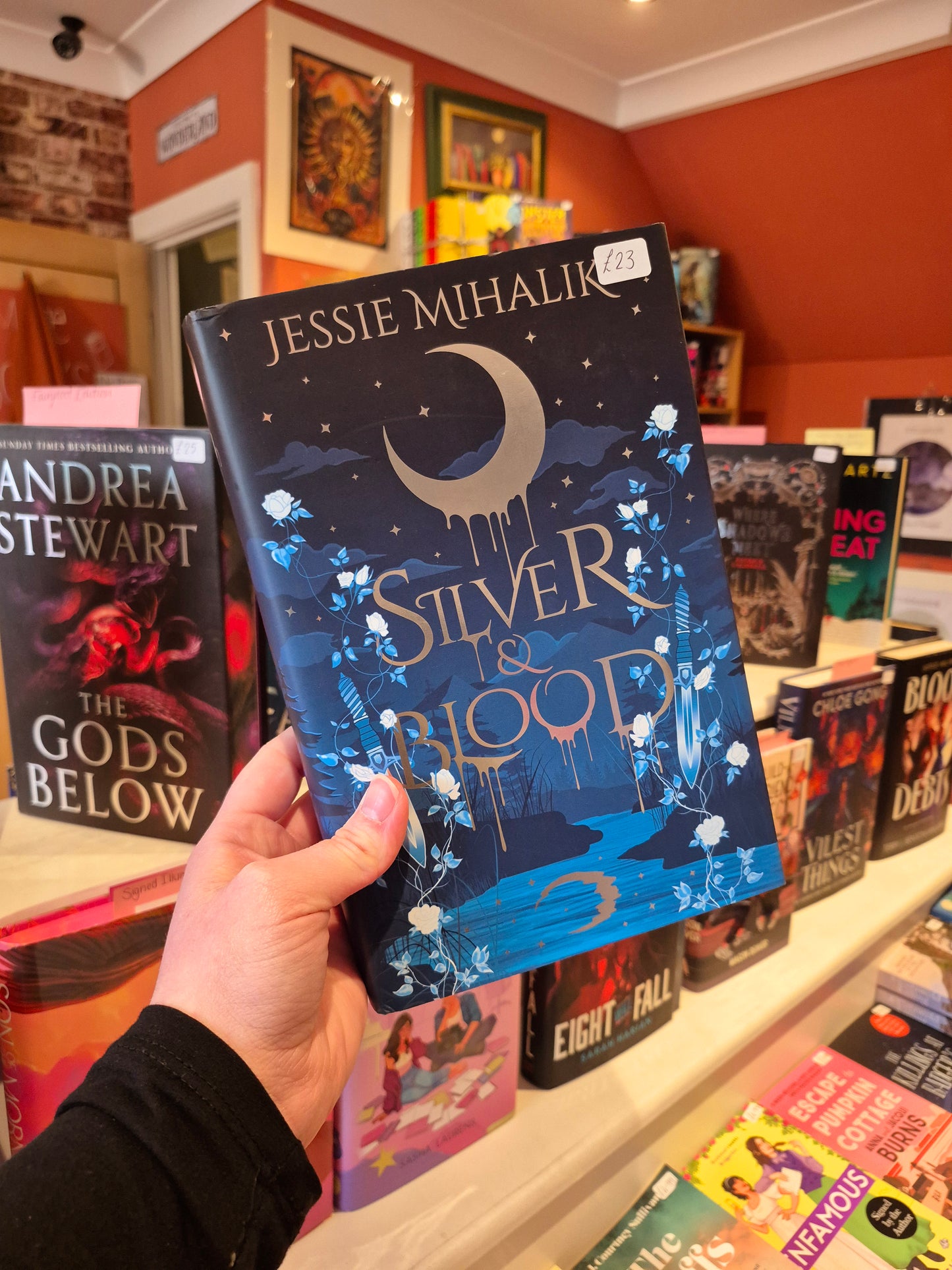 Silver & Blood - Jessie Mihalik (Locked Library Edition)