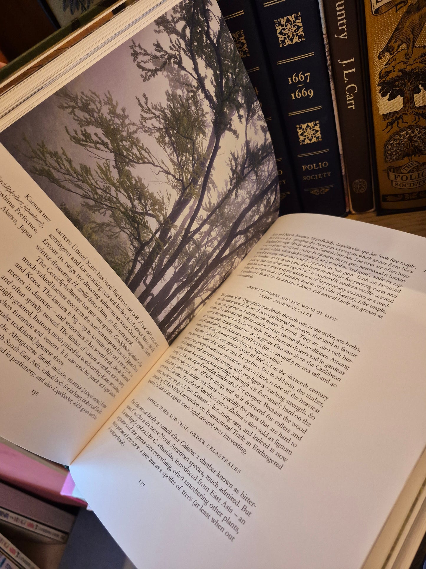 The Secret Life of Trees (Folio Society 2008)