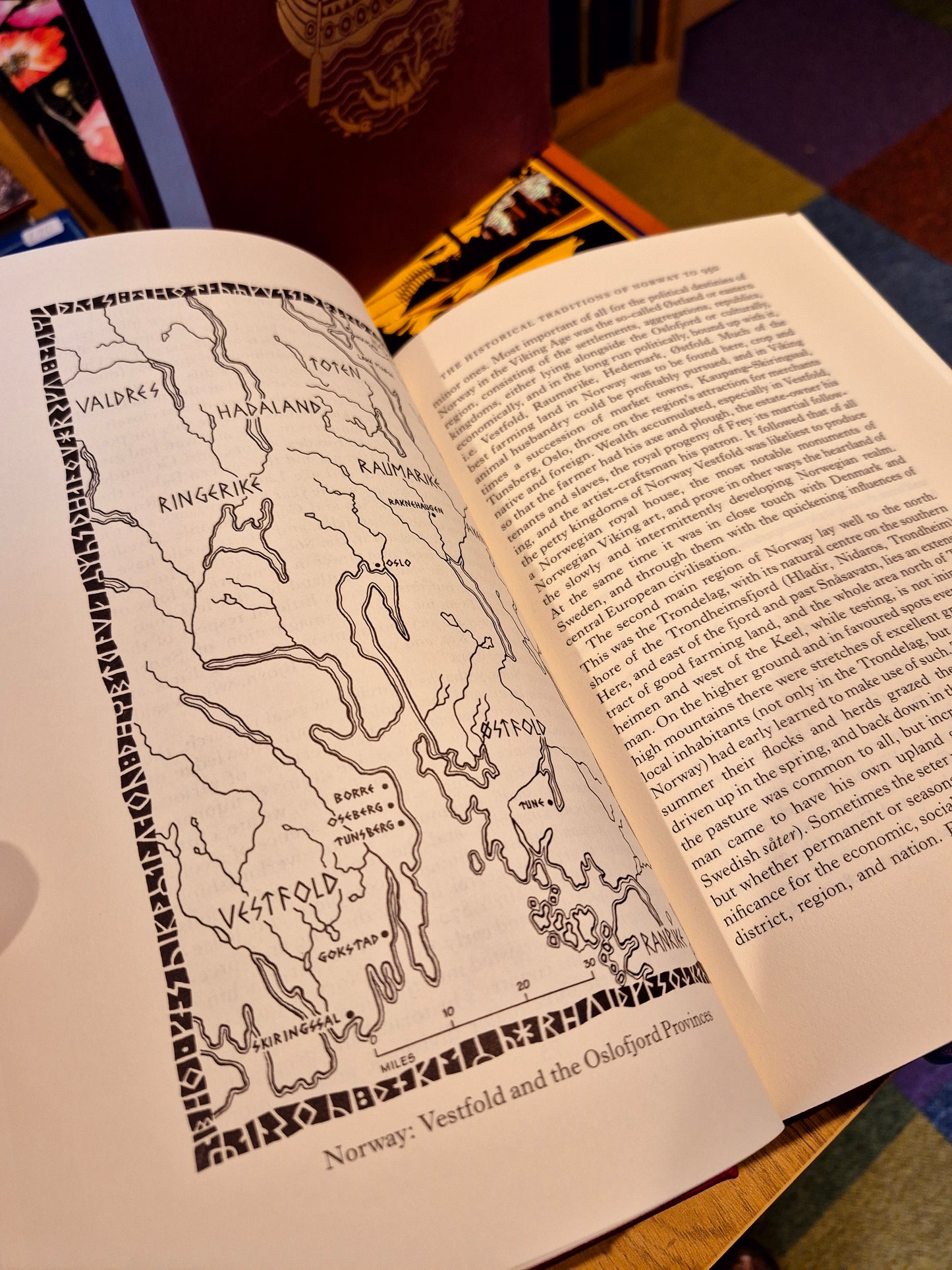The Vikings - Gwyn Jones (Folio Society)