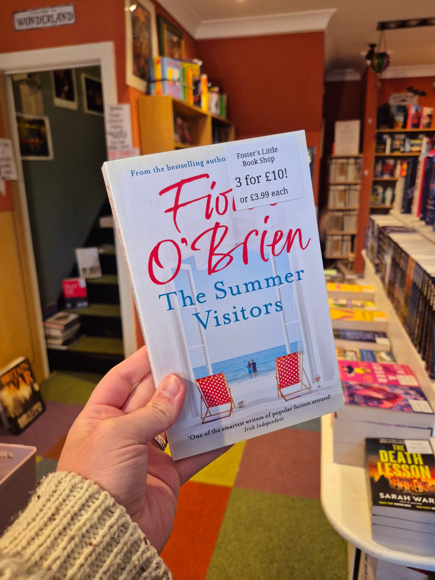 The Summer Visitors - Fiona O'Brien