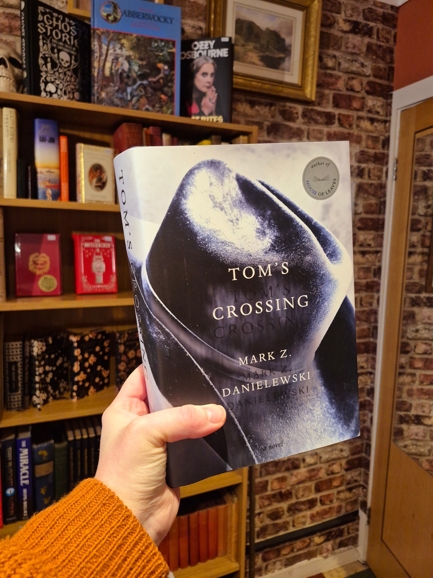 Tom's Crossing - Mark Z. Danielewski