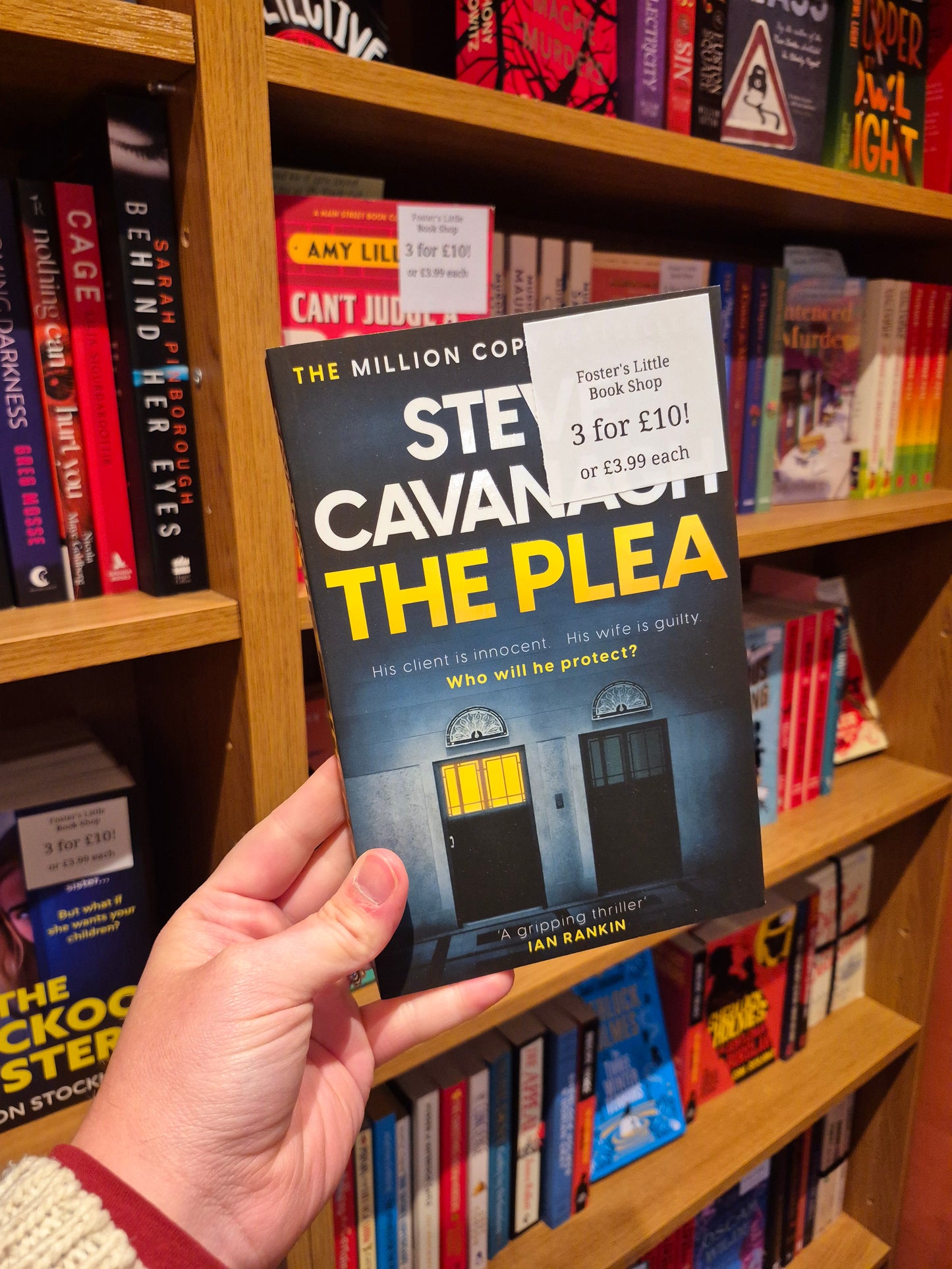 The Plea - Steve Cavanagh