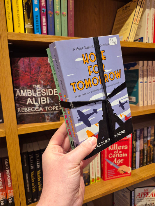 2 Book Historical Mystery Bundle