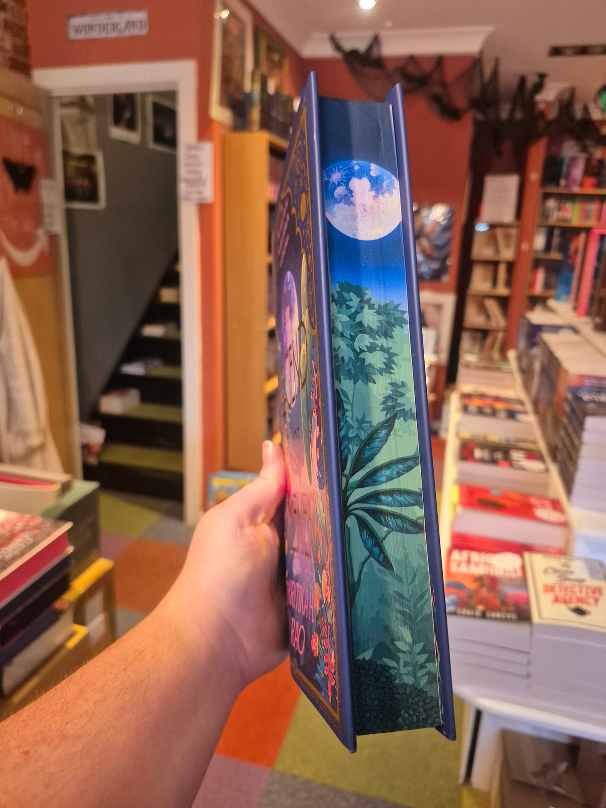 The Legend of Meneka - Kritika H Rao (Fairyloot Edition)