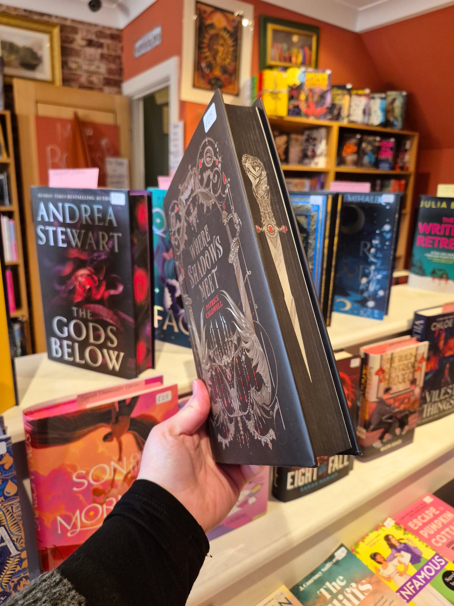 Where Shadows Meet - Patrice Caldwell (Fairyloot Edition)