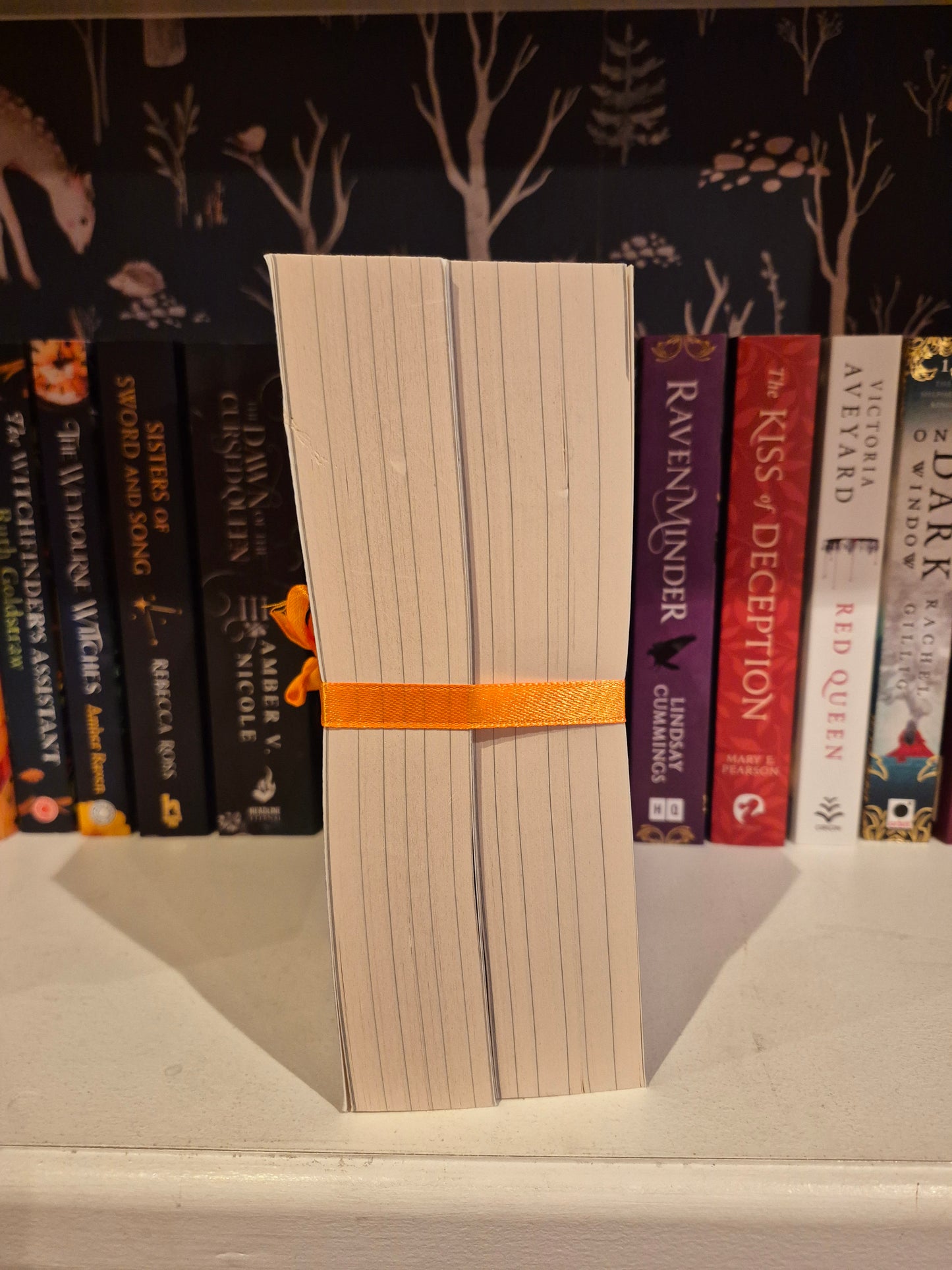 Leigh Bardugo 2-Book Bundle (Fantasy)