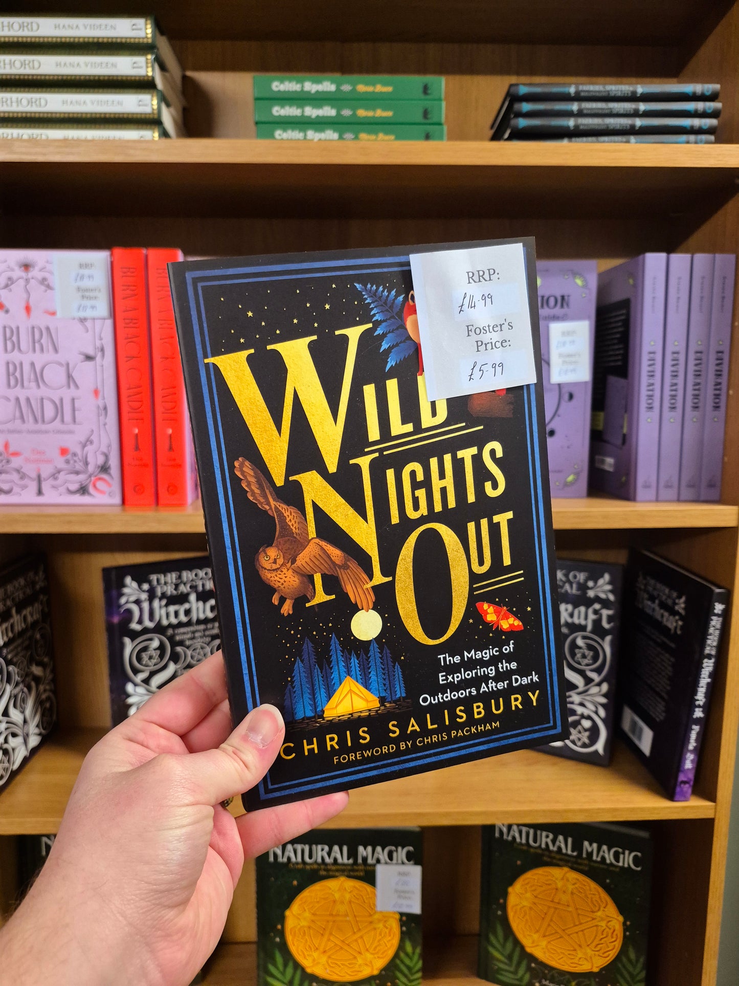 Wild Nights Out: The Magic of Exploring the Outdoors After Dark