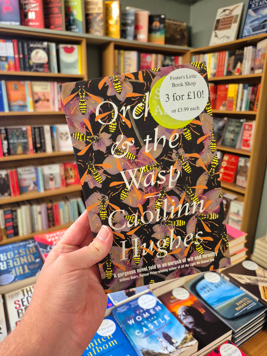 Orchid & the Wasp - Caoilinn Hughes