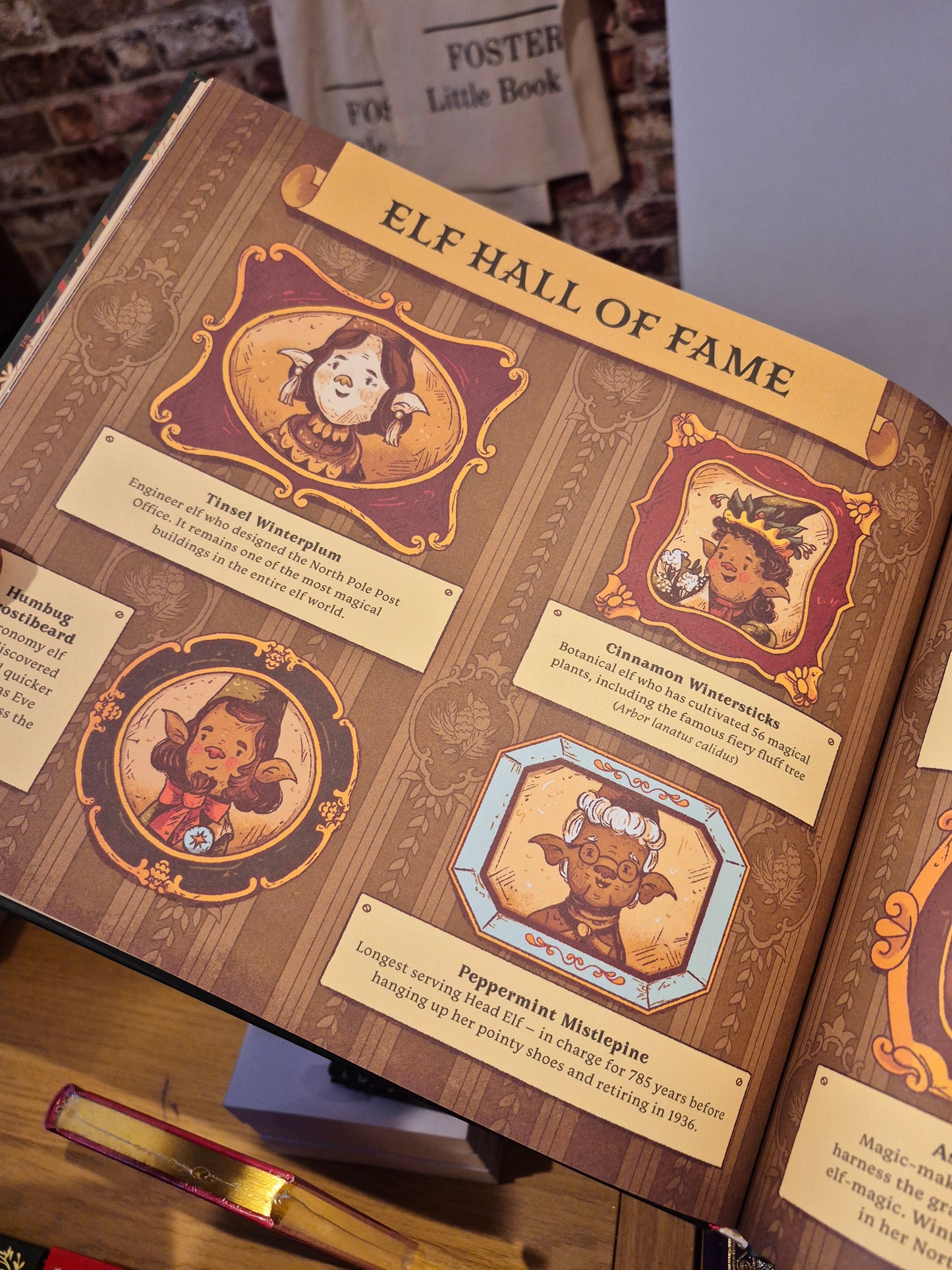 Secrets from the North Pole - Saskia Gwinn