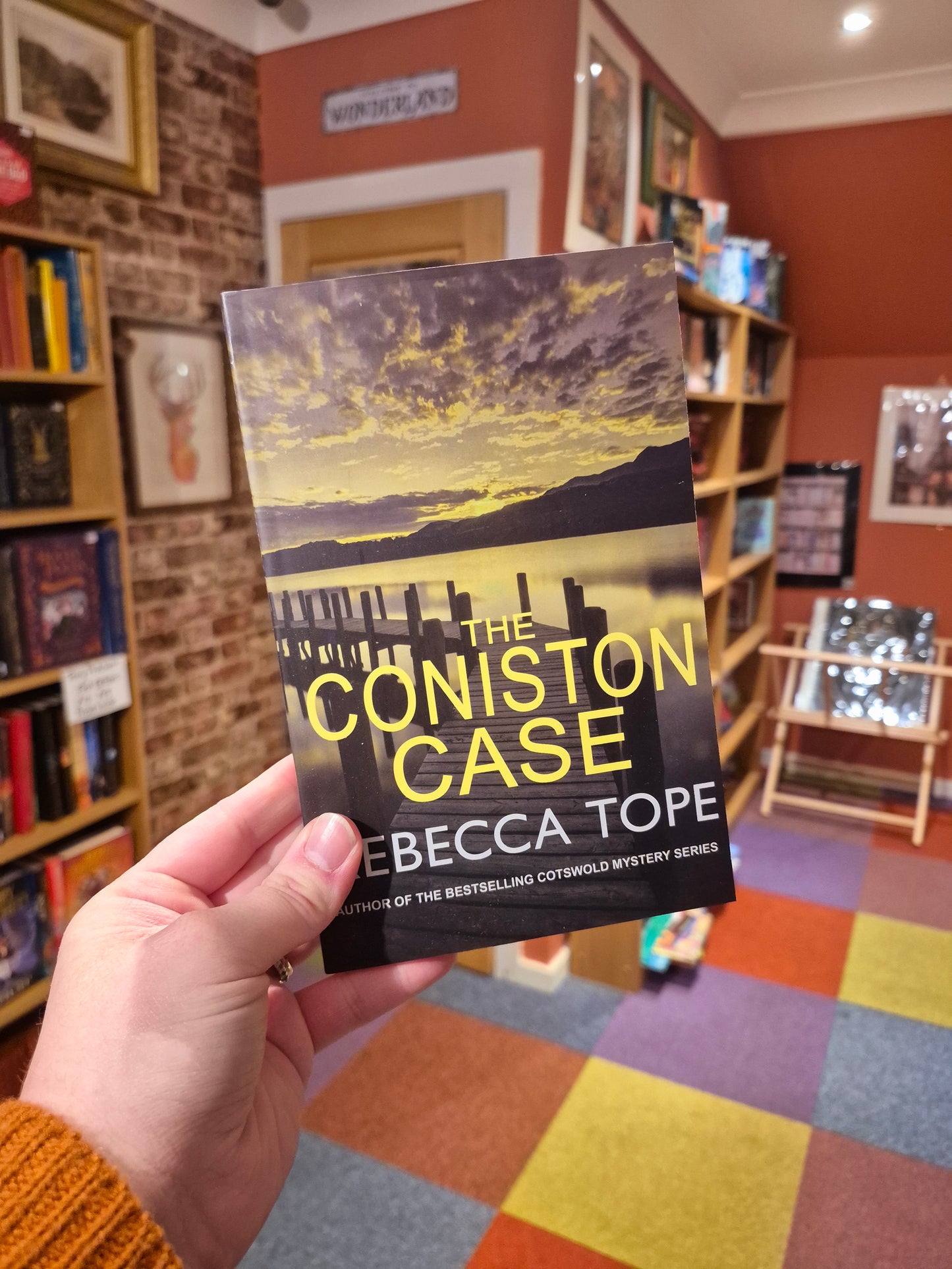 The Coniston Case - Rebecca Tope