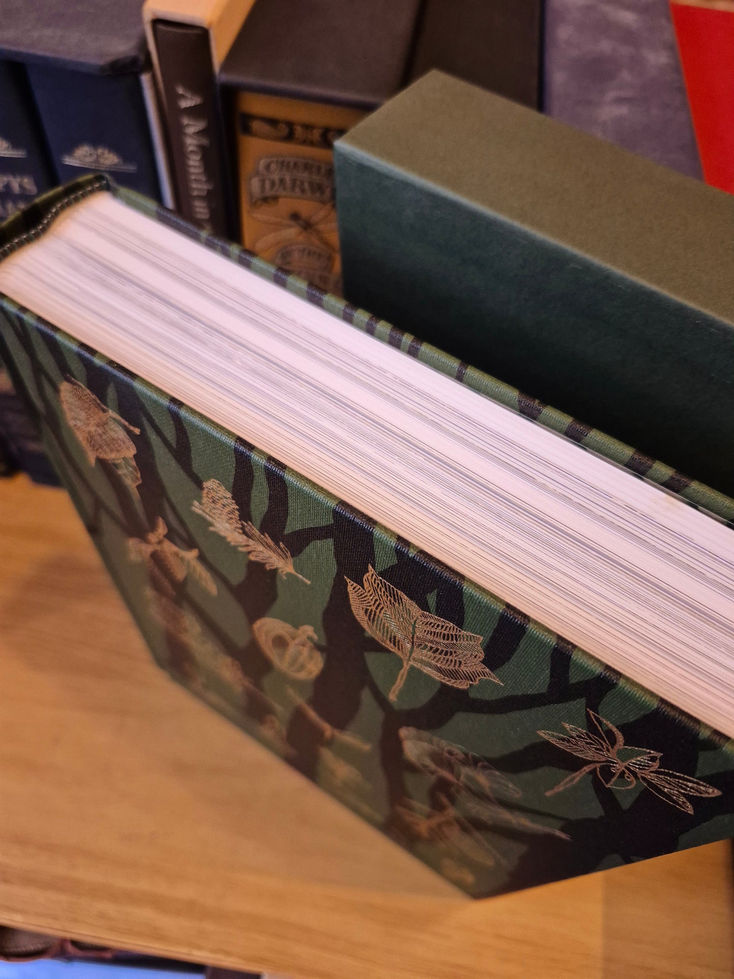 The Secret Life of Trees (Folio Society 2008)