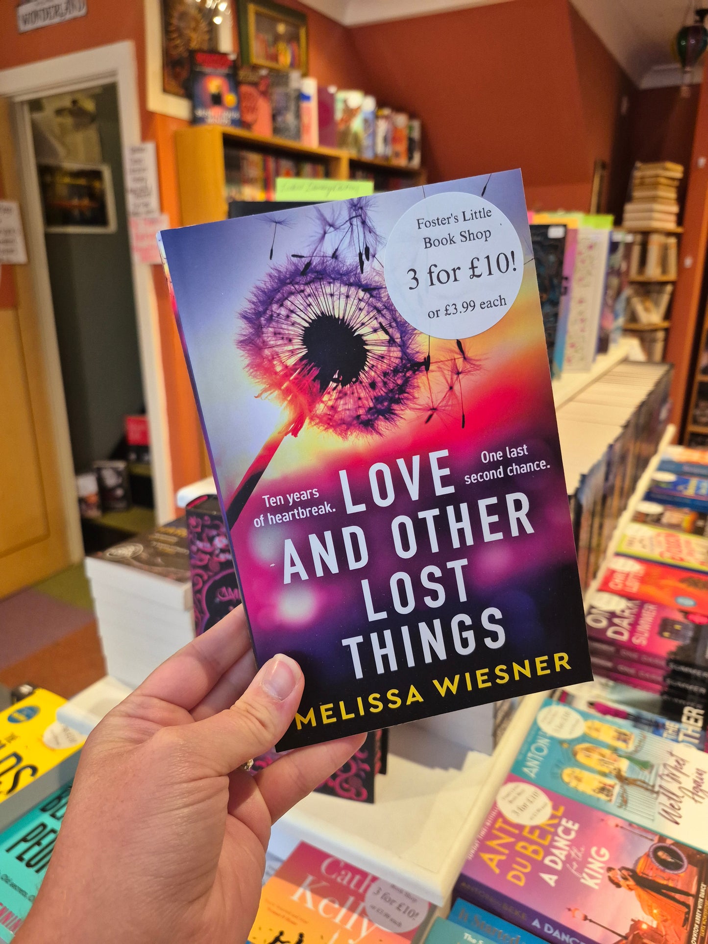 Love and Other Lost Things - Melissa Wiesner