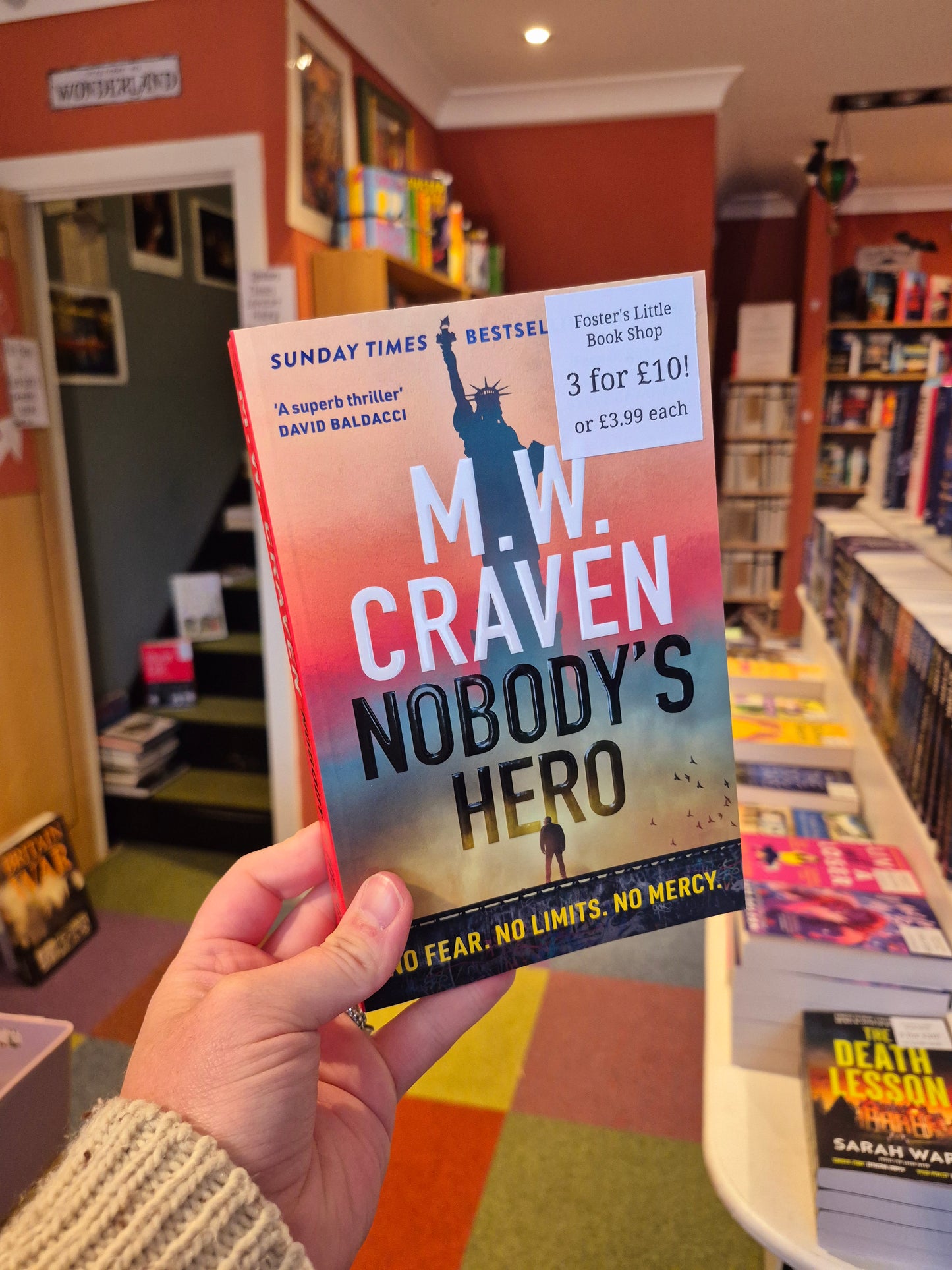 Nobody's Hero - MW Craven
