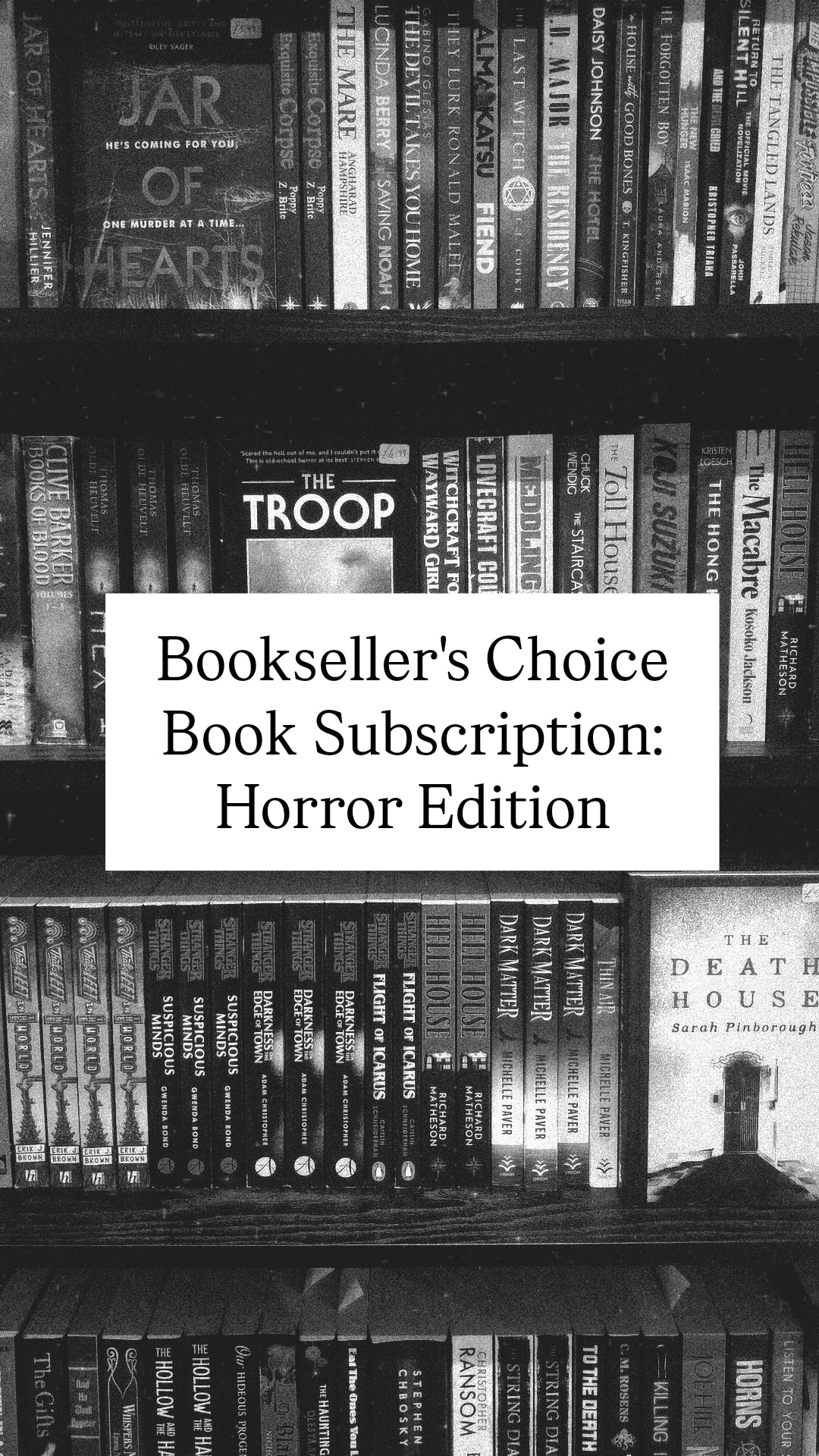 Booksellers's Choice Book Subscription: Horror Edition!