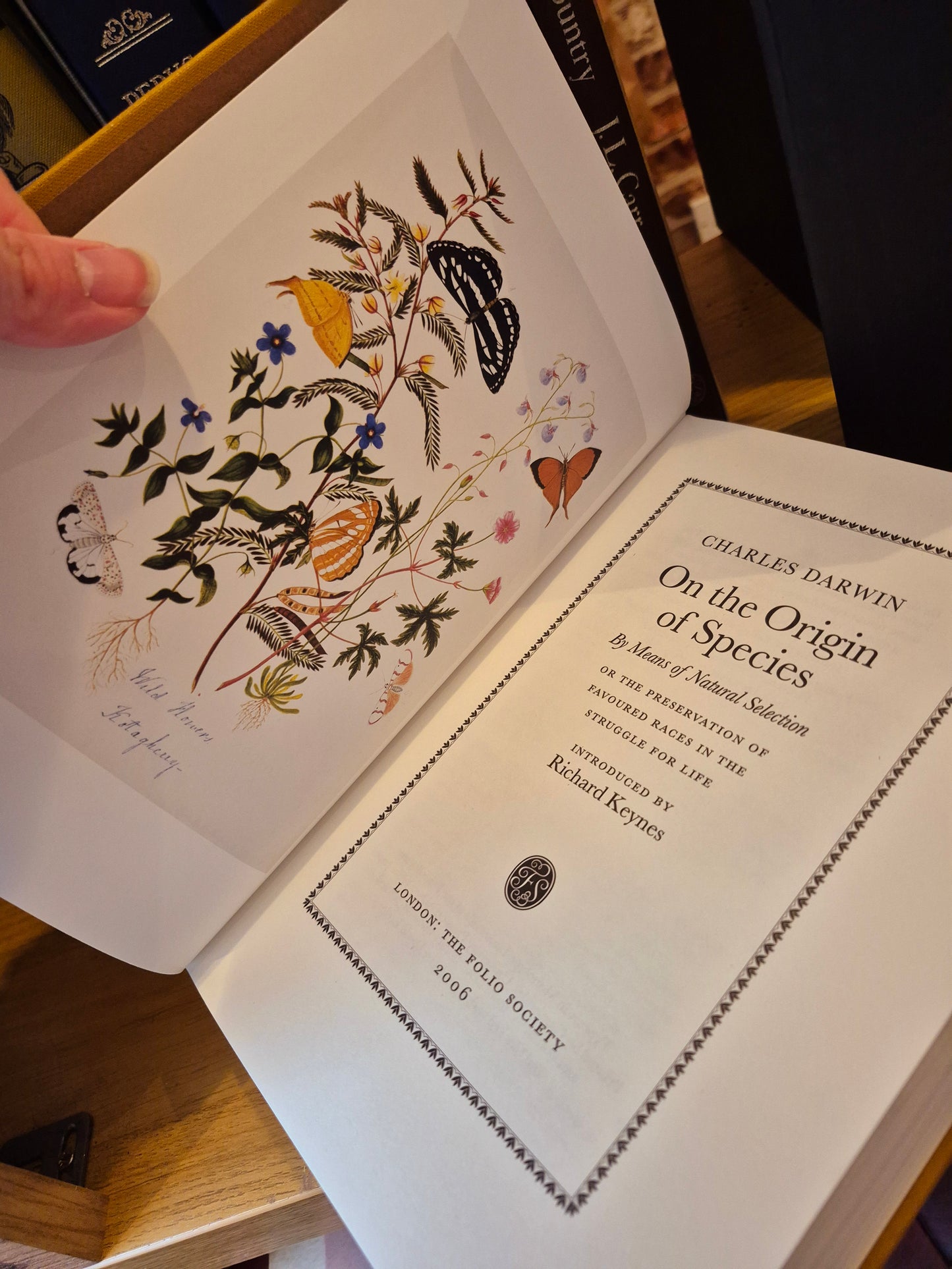 On the Origin of Species - Charles Darwin (Folio Society 2006)