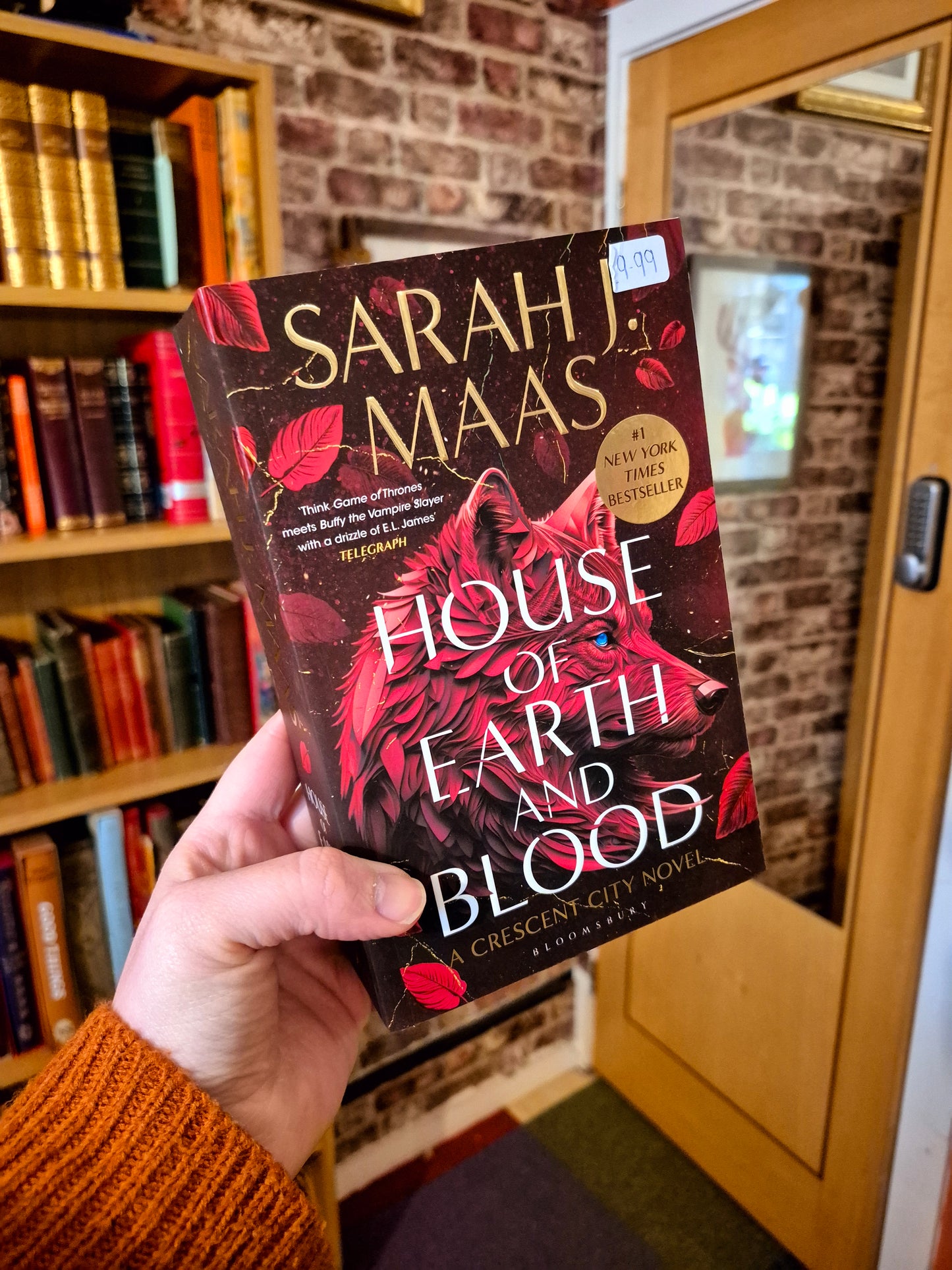 House of Earth and Blood - Sarah J Maas