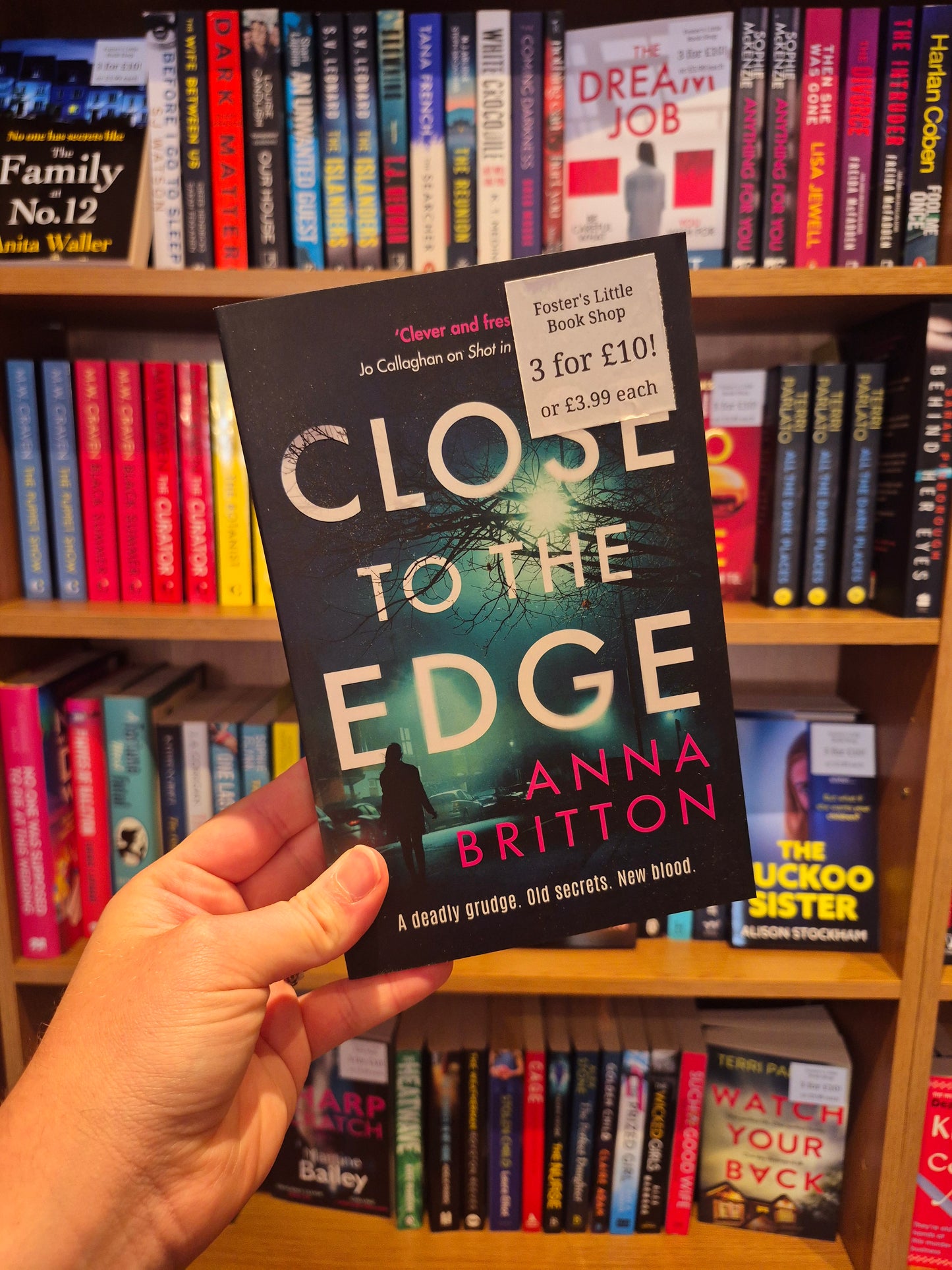 Close to the Edge - Anna Britton