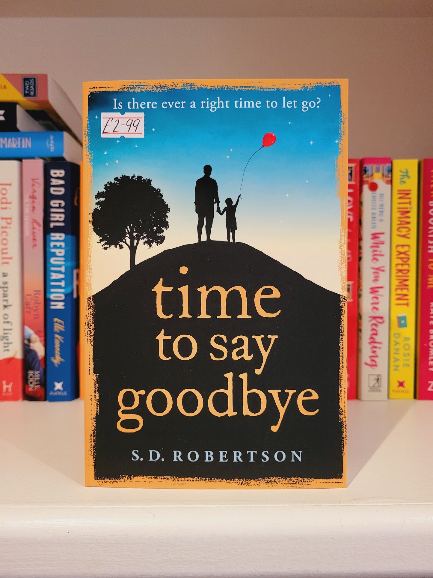 Time to Say Goodbye - S.D. Robertson